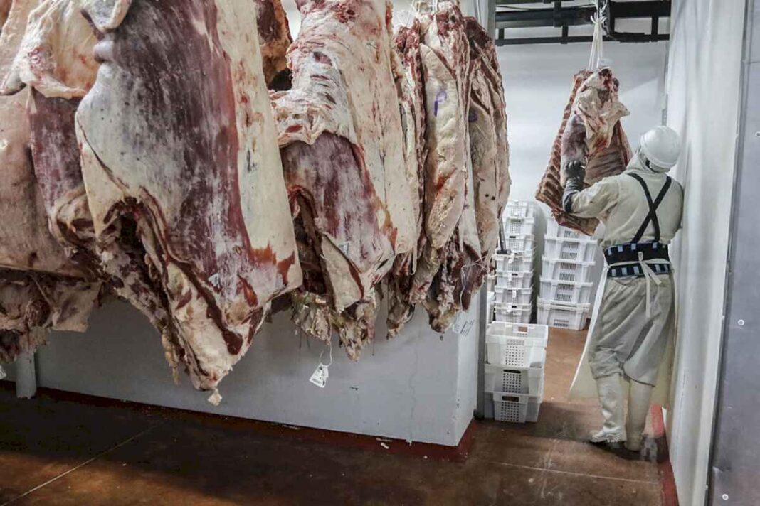 cae-el-consumo-de-carne-y-crece-la-exportacion