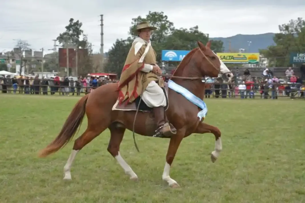 42-concurso-nacional-de-caballos-peruano-de-paso:-se-declaro-de-interes-municipal-la-actividad-que-comenzara-este-martes
