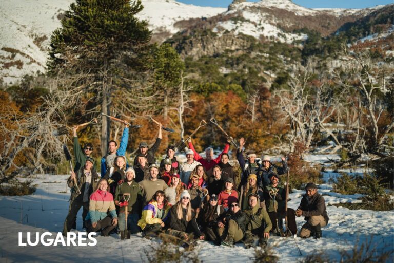 El bosque milenario de la Patagonia que renace tras un incendio gracias al trabajo voluntario