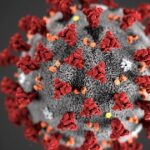 230766-que-es-el-hmpv-el-virus-que-disparo-el-alerta-en-china-es-una-amenaza-mundial