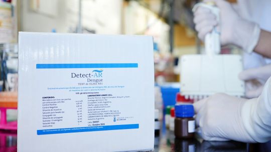 Dengue: expectativa por el desarrollo del test nacional para su detección