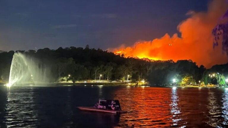 Un incendio forestal puso en alerta a Tandil: cómo está la situación