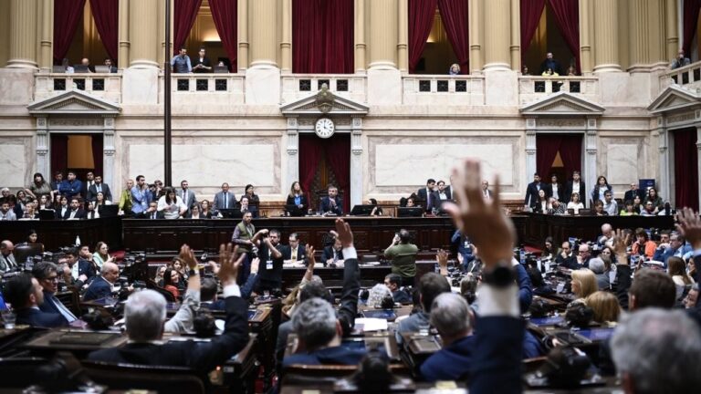 Qué necesita el Gobierno para suspender las PASO