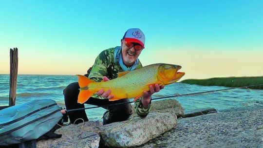 En Weekend de febrero: dorados al vadeo en el Río de la Plata
