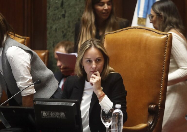 Legislatura: se pospone la sesión para suspender las primarias en la Ciudad