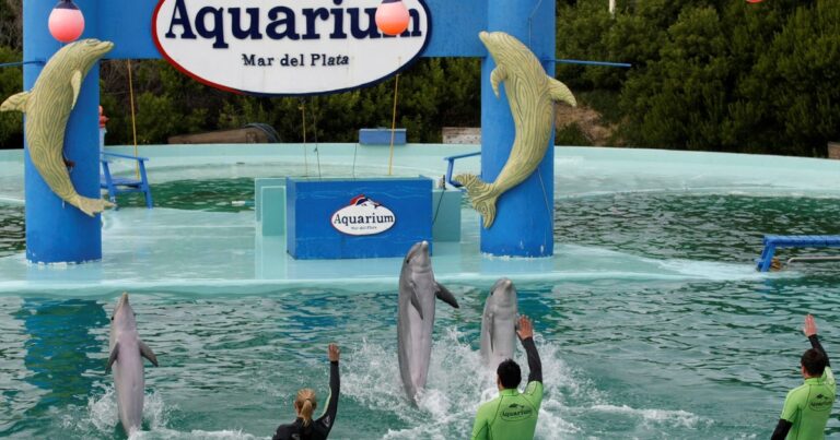 Tras 32 años, anuncian el cierre definitivo del Aquarium de Mar del Plata