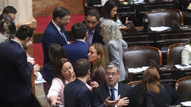 Diputados de la oposición avanzaron para declarar la emergencia en discapacidad