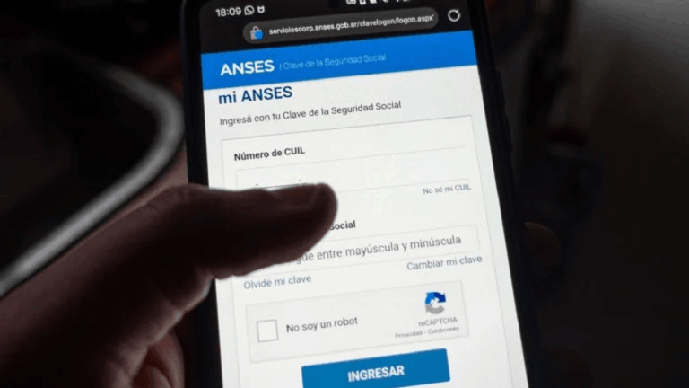 ANSES: los puntos clave del programa social para embarazadas