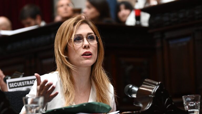 Tensión en el Congreso: Lilia Lemoine filmó a jubilados que asistían a la marcha y fue increpada