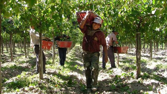 Los trabajadores rurales contra la mesa de enlace: «Ofrece salarios de miseria», se quejan