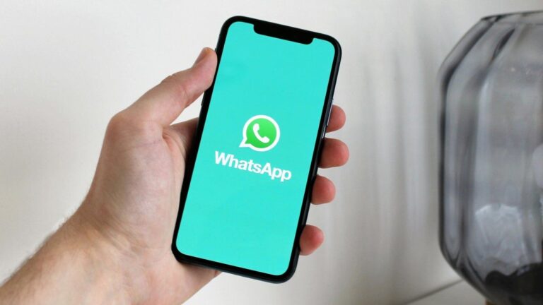 El truco para personalizar tus stickers de WhatsApp que seguro no conocías