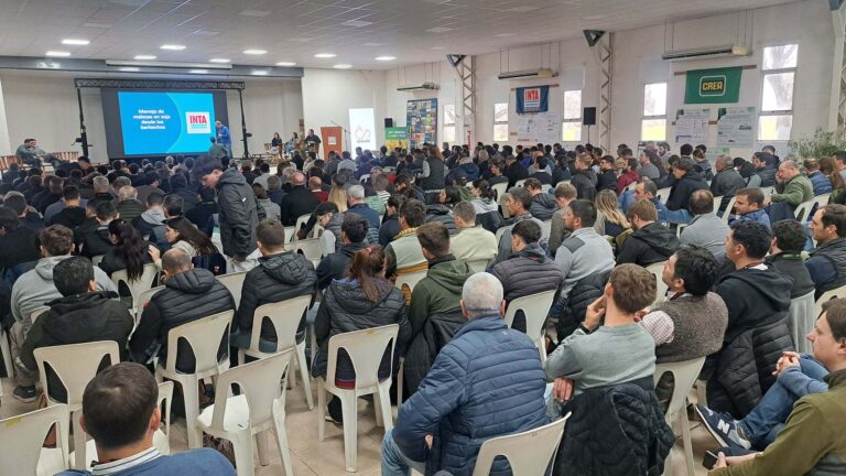 Reconstruir el suelo y acortar las brechas, desafíos para la campaña próxima