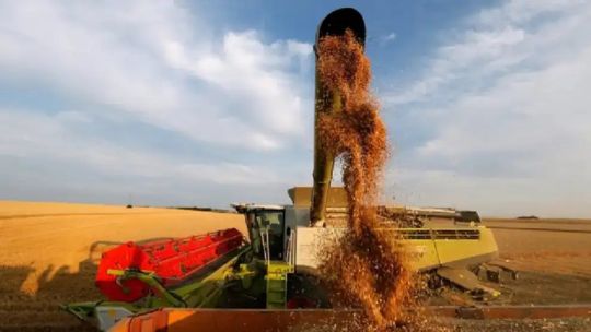 El agro liquidó más de 4100 millones de dólares en julio de 2025, un 57% más que en 2024