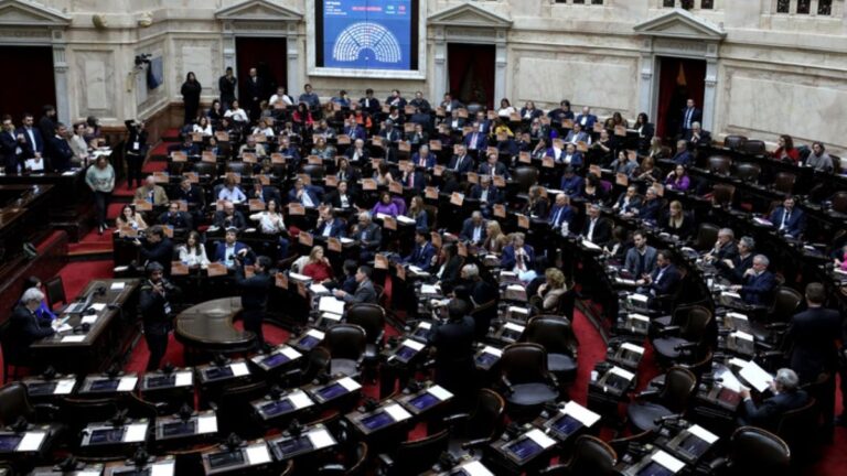 Tras los vetos, Diputados vuelve a la carga con una agenda que confronta con Casa Rosada