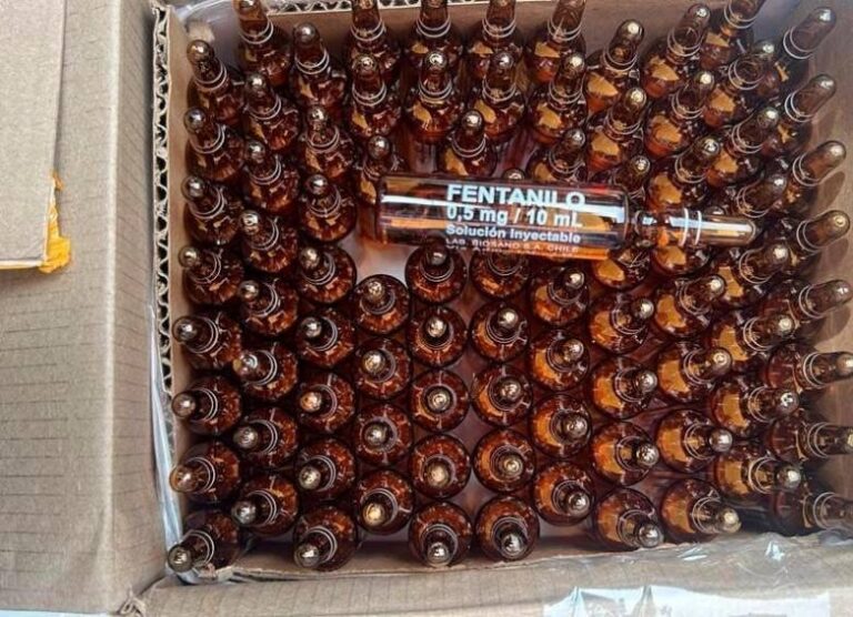 La OMS lanzó una advertencia por el fentanilo contaminado en la Argentina