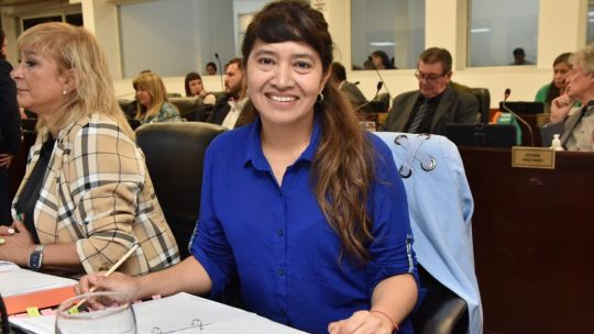 Diputados del PJ piden sanciones internas por el voto que archivó la cláusula gatillo docente en Chaco