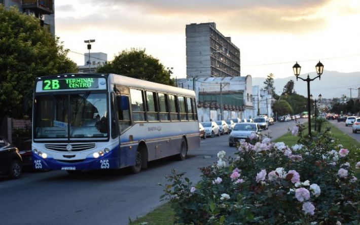 Colectivo urbano circulando por una calle de la ciudad de Salta