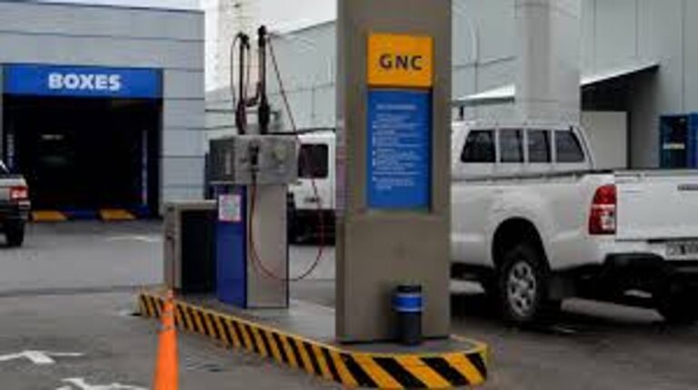 Gráfico de precios de combustible y una estación de servicio en Salta