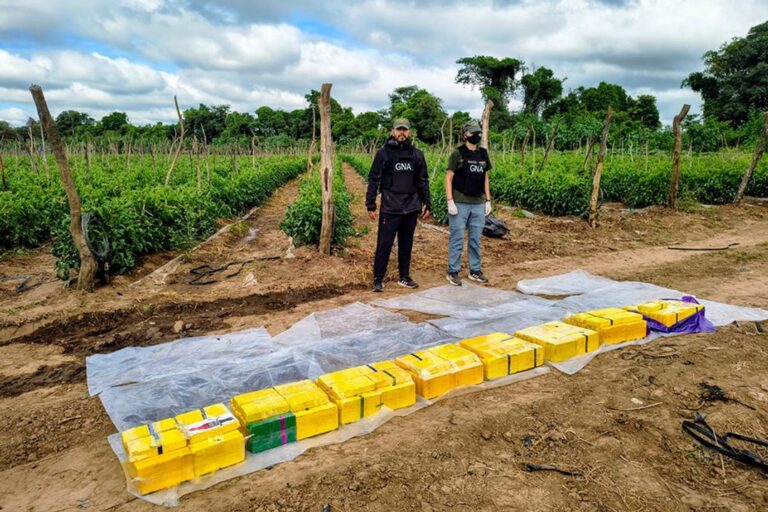 Operativo de Gendarmería en finca de Colonia Santa Rosa con droga incautada