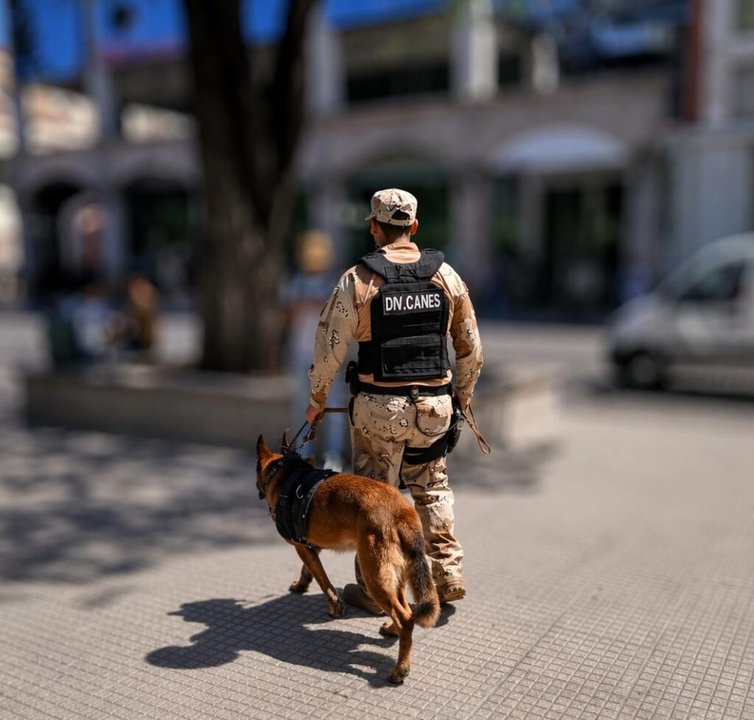 Efectivos policiales realizando un procedimiento en la Plaza 9 de Julio de la ciudad de Salta