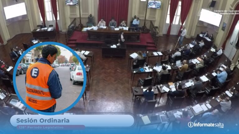 Sesión en la Cámara de Diputados de la provincia de Salta