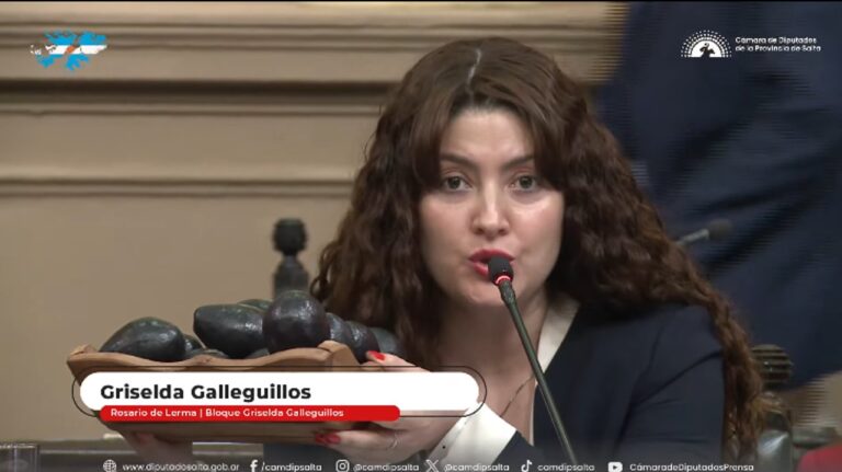 Diputada Griselda Galleguillo durante una entrevista en estudios de televisión.