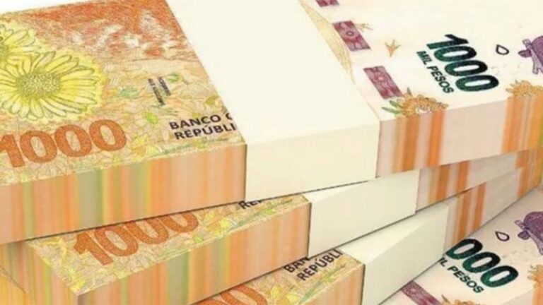 Gráfico ilustrativo de la distribución de ingresos en Argentina con datos del Indec