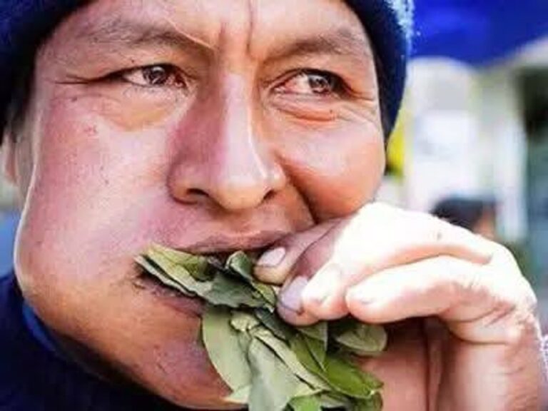 Hombre masticando hoja de coca en un mercado tradicional boliviano