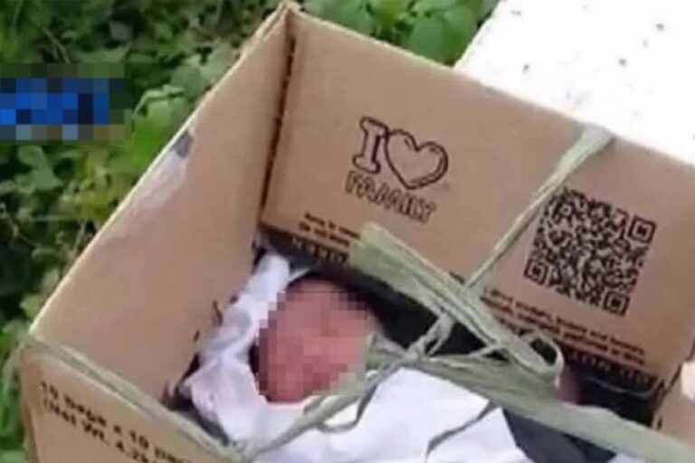 Recién nacida abandonada en una caja en la vía pública