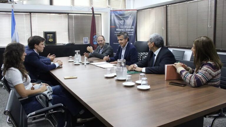 Mesa de trabajo entre la Secretaría de Minería y universidades de Salta sobre formación minera