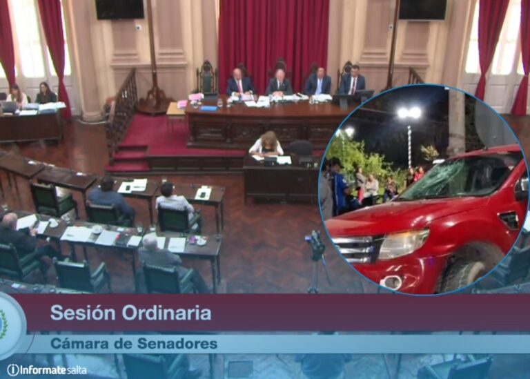 Sesión del Senado de la Provincia de Salta en el recinto legislativo.