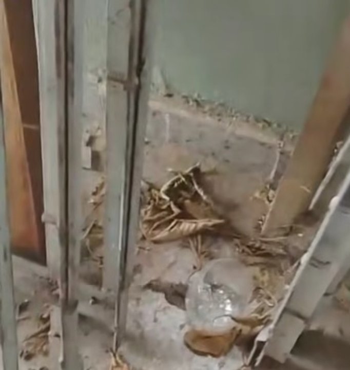 Captura de video que muestra interior de depósito en Puesto 28